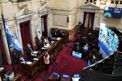 Cristina Kirchner encabezó la sesión del Senado