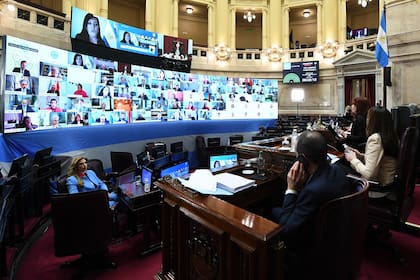 Cristina Kirchner encabezó la sesión del Senado