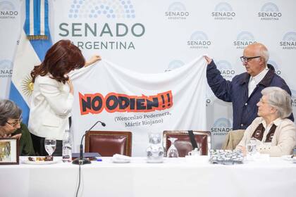 Cristina Kirchner exhibe una bandera que le llevaron al Senado los curas villeros