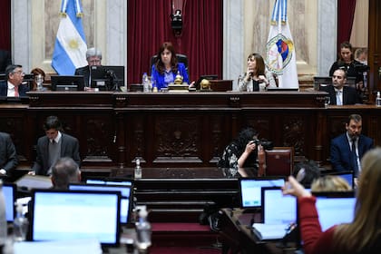 Cristina Kirchner presidió el comienzo de la sesión de la Cámara alta