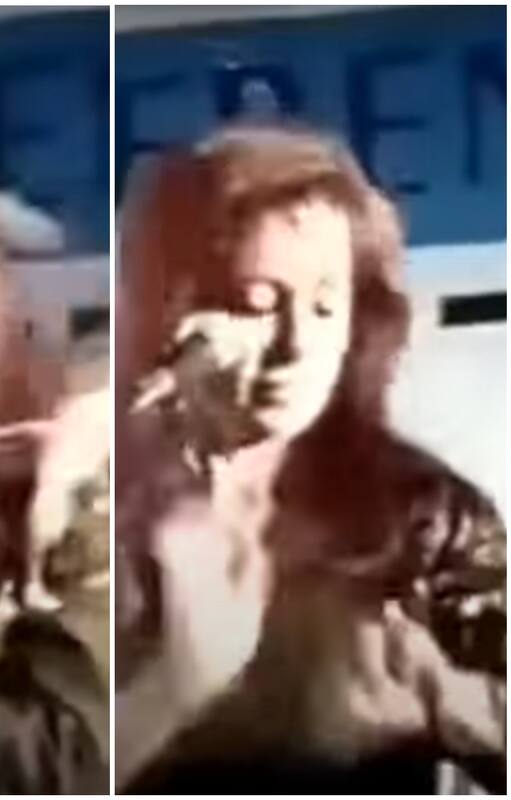 Cristina Kirchner recibió huevazos en Catamarca, en un acto en 2003; responsabilizó por el ataque a "la patota" de Luis Barrionuevo