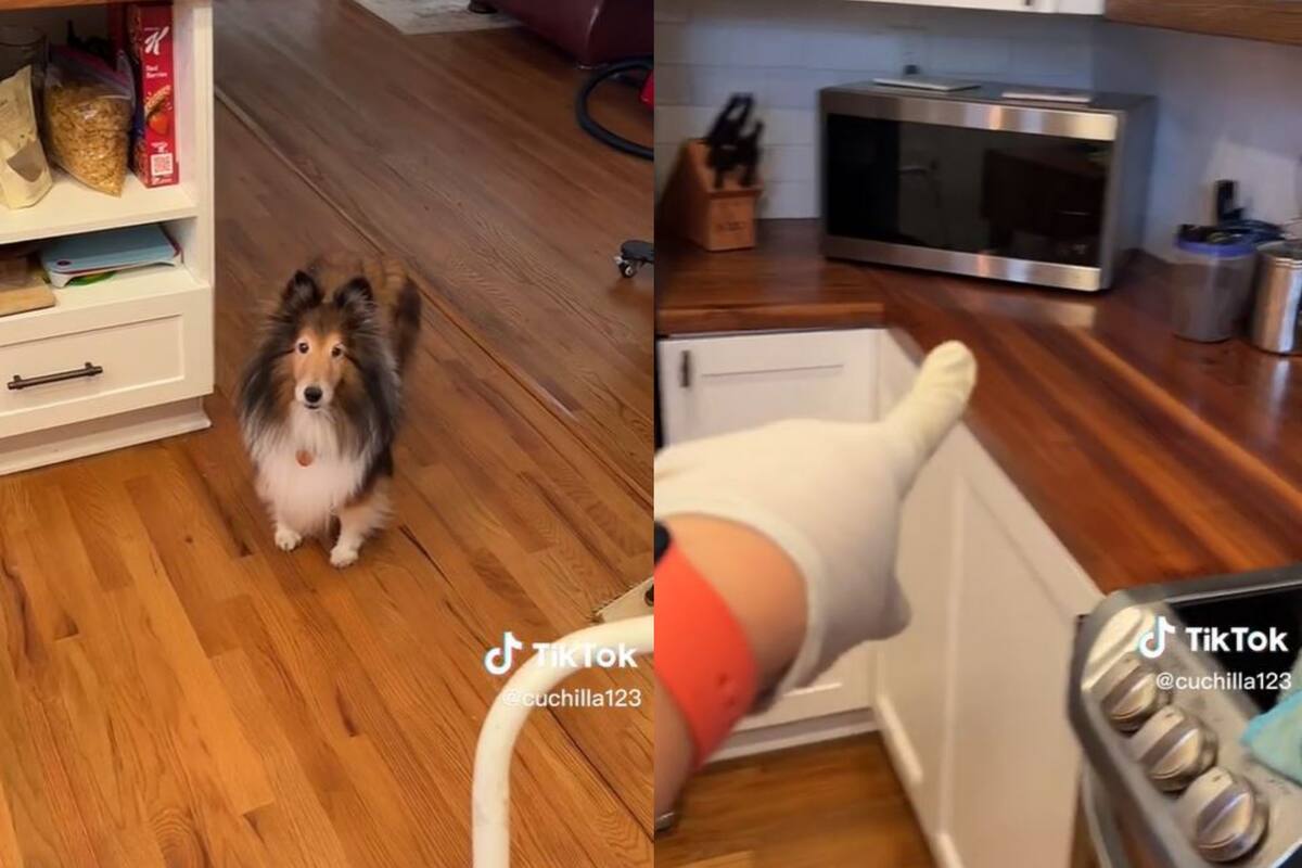 Cristy explicó el momento "de terror" que vivió con la mascota mientras limpiaba la casa