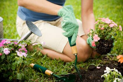 cropped image of woman gardening