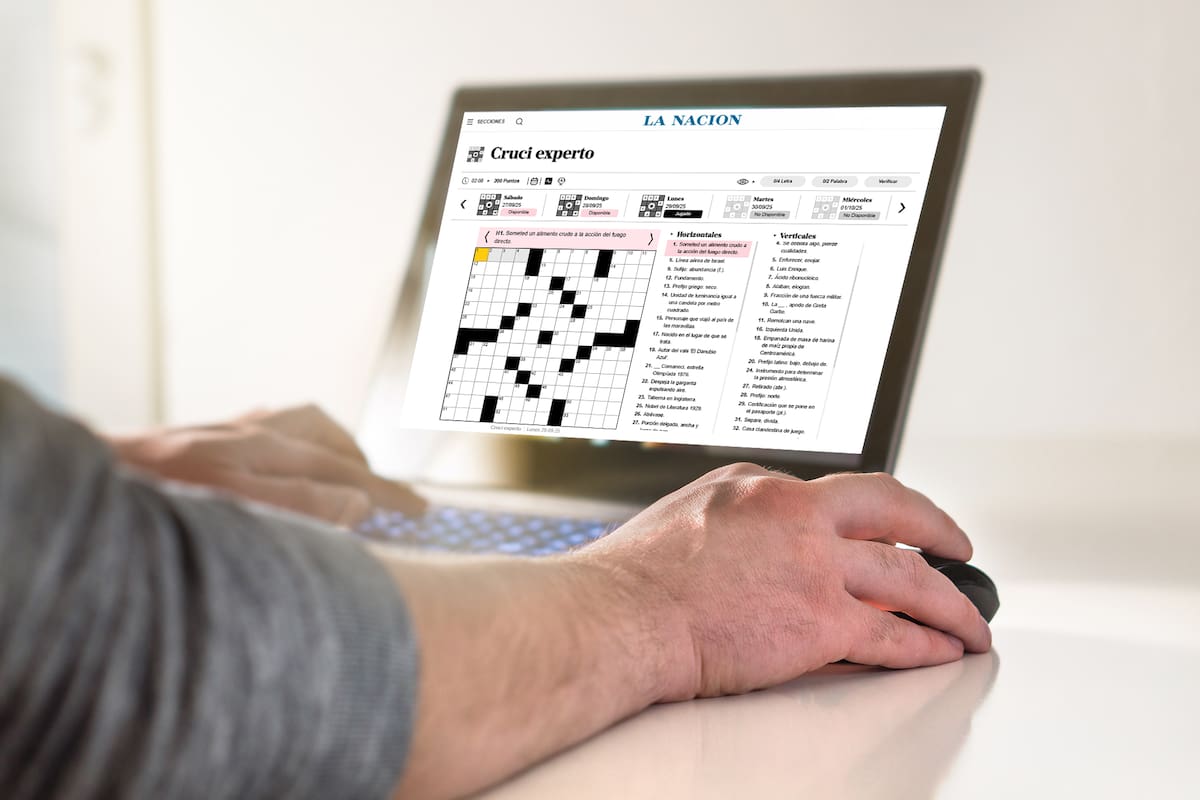 Cruci experto: el desafío que los crucigramistas estaban esperando
