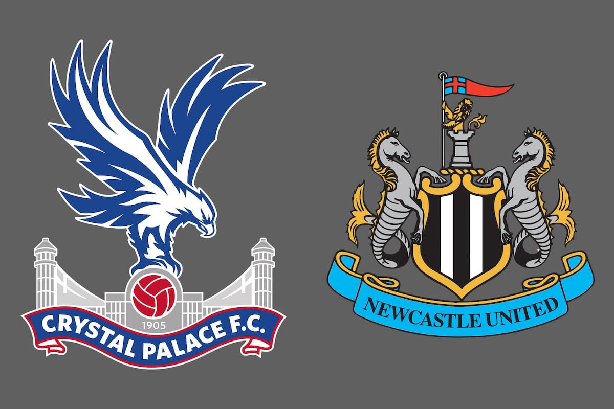 Crystal Palace y Newcastle United disputaron uno de los encuentros de la jornada del fútbol inglés