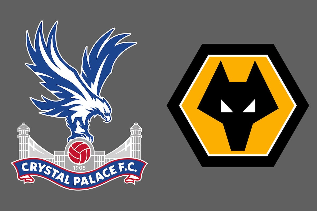 Crystal Palace y Wolverhampton Wanderers disputaron uno de los encuentros de la jornada del fútbol inglés