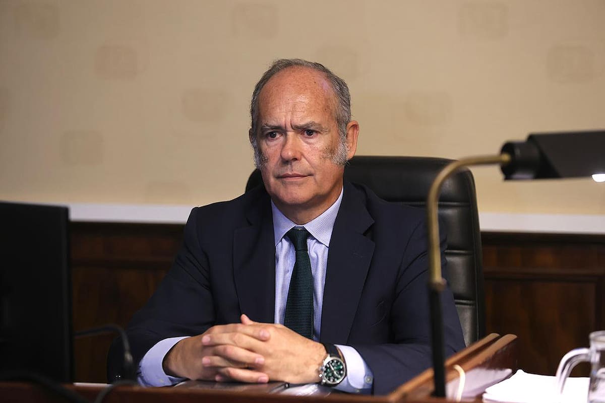Cuadernos de las coimas; política; Causa cuadernos; TOCF n°7;