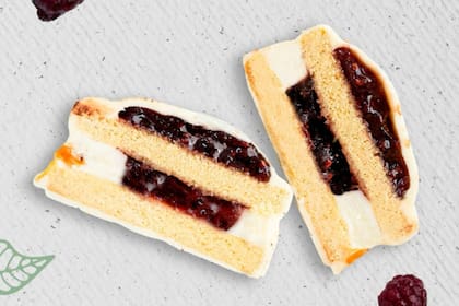 Cuál es el mejor alfajor del mundo