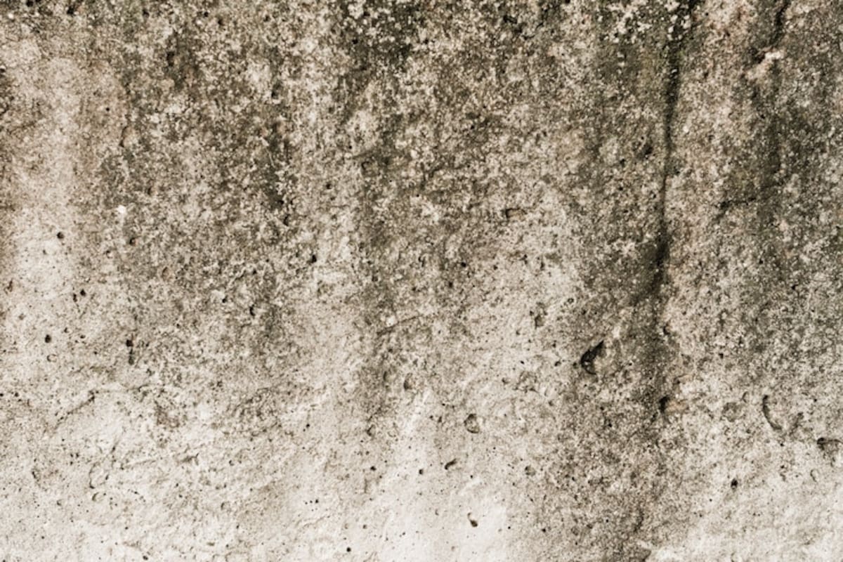 Cuál es el método más práctico para combatir la humedad