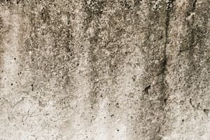 Cuál es el método más práctico para combatir la humedad