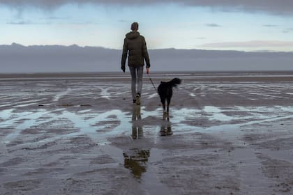 Cuál es el proceso recomendado por especialistas para afrontar la pérdida de nuestro perro