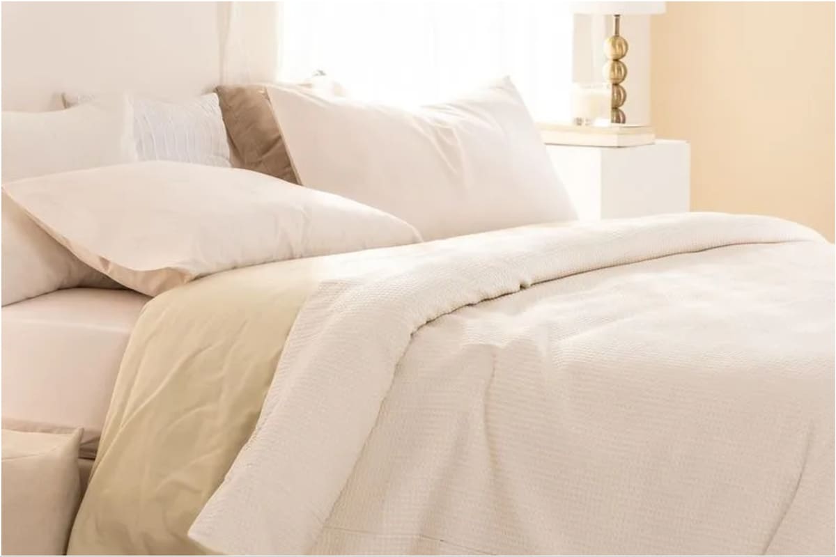 Cuál es el truco para tener un acolchado limpio y desinfectado