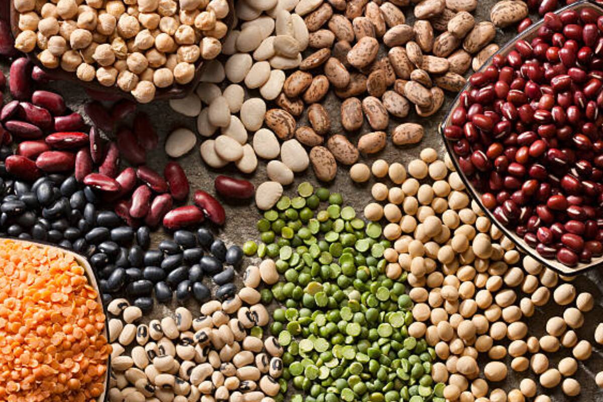¿Cuál es la legumbre que ayuda a no subir de peso? Expertos indican que debería incorporarse como un hábito alimentario para cuidar la salud de la población (Foto Pexels)