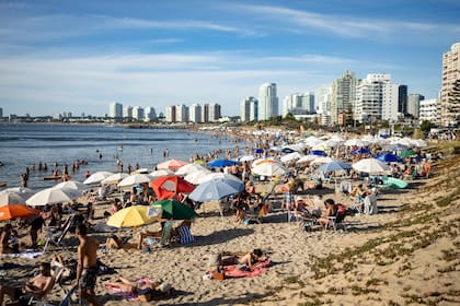 Cuál es la mejor playa de Uruguay: está en Punta del Este