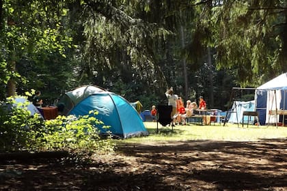 Cuál es la opción ideal para irte de campamento, según tu signo