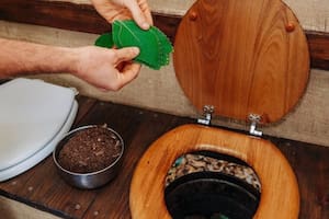 Cuál es la planta que se presenta como una alternativa natural al papel higiénico. Foto: @robjgreenfield