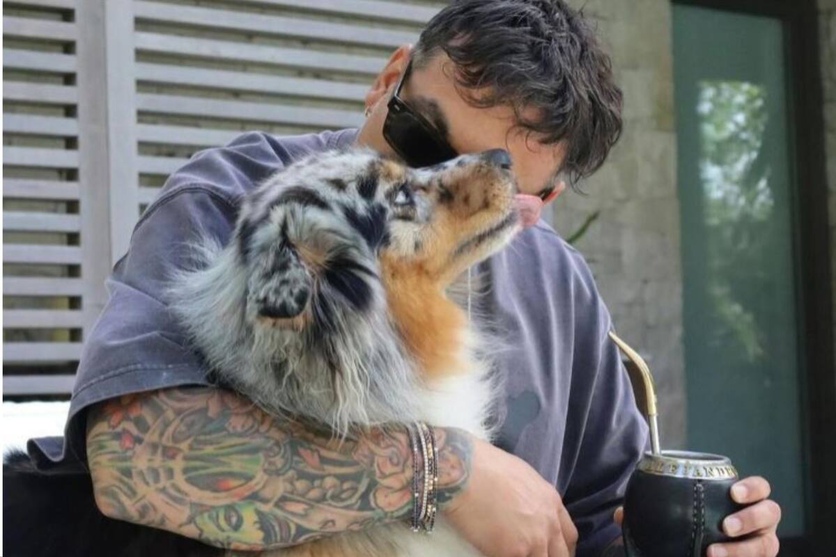 Cuál es la raza de perro de Ezequiel Lavezzi