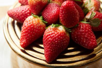 ¿Cuáles conviene comprar por su duración y cómo prolongarles la vida?