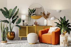 Cuáles son las plantas que deberías tener en casa, según el Feng Shui
