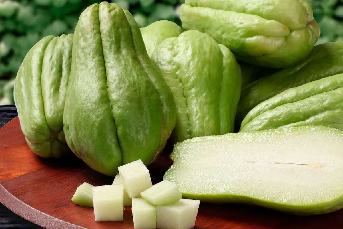 Cuáles son las propiedades curativas del chayote
