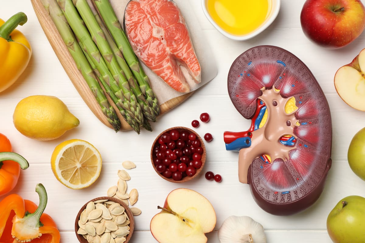 Cuáles son los 3 alimentos con pocas calorías que estimulan el buen funcionamiento de los riñones