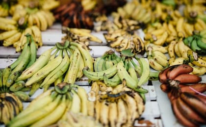 Cuáles son los beneficios de consumir plátano maduro