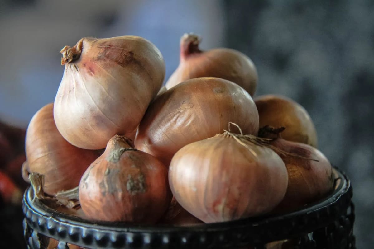 ¿Cuáles son los beneficios de consumir té de cebolla? (Foto Pexels)