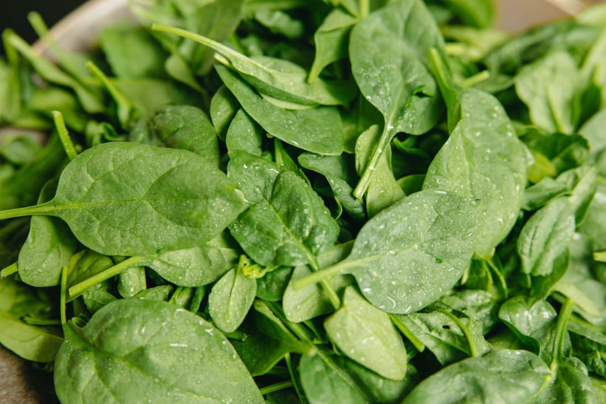 ¿Cuáles son los beneficios nutricionales de la espinaca? (Foto Pexels)