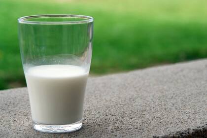 Cuáles son los beneficios y las contraindicaciones de tomar leche de soja diariamente (Foto Pexels)