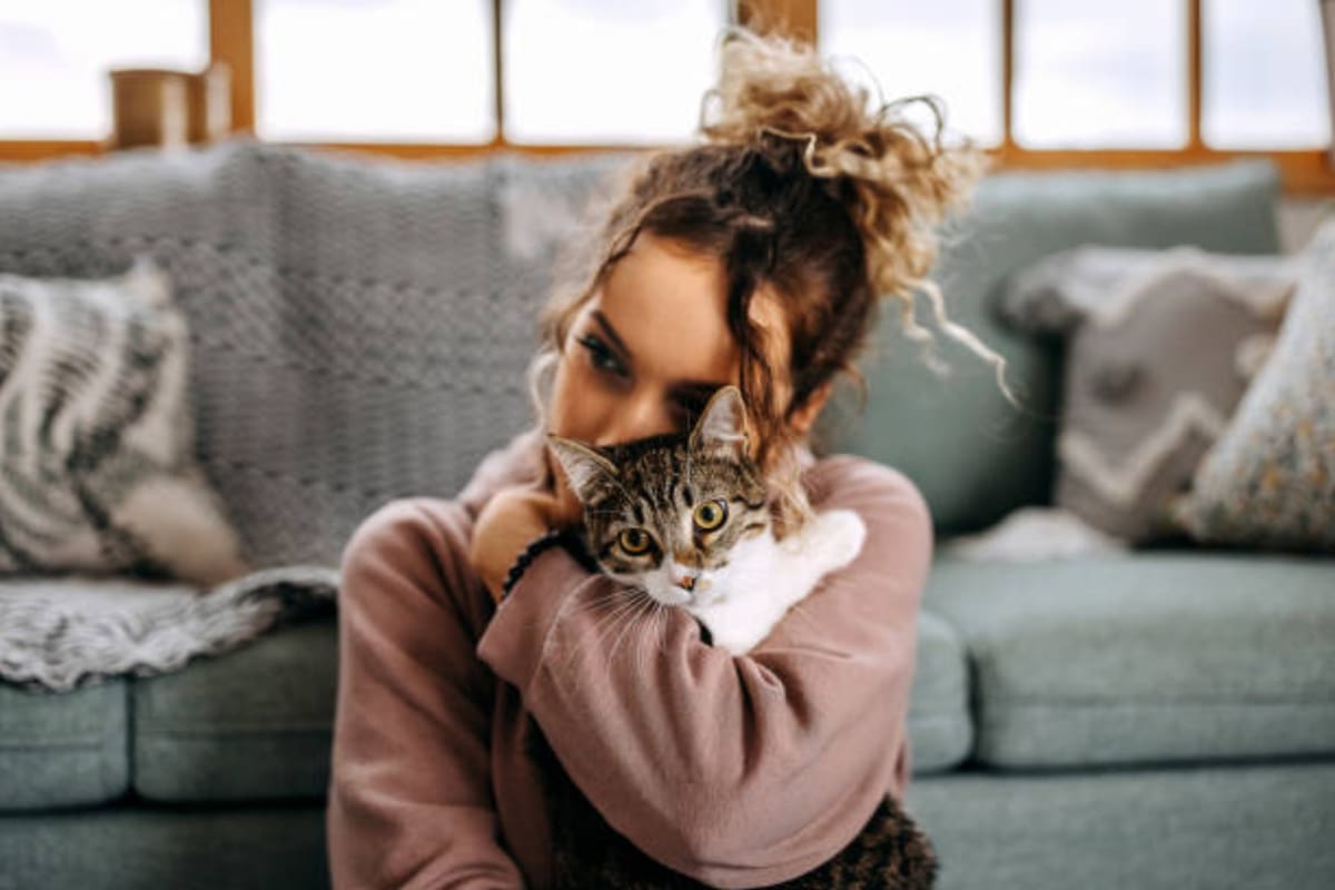 ¿Cuáles son los mejores centros urbanos de Estados Unidos para tener gatos? Un ranking nacional brinda un panorama