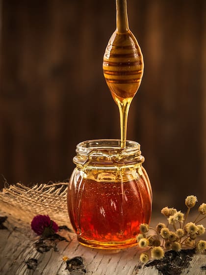 Cuáles son los tipos de miel que existen (Foto: Istock)