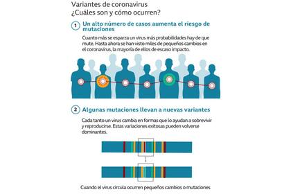 ¿Cuáles son y cómo ocurren las variantes del coronavirus?