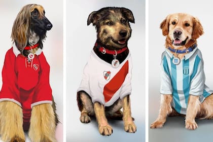 Cualquier hincha, simpatizante o socio de un club de fútbol de primera puede asociar a su mascota a esa entidad
