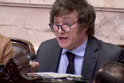 "“Cualquier intromisión que no deja funcionar la Justicia me parece un disparate porque justamente lo que sostiene la República es que la Justicia sea independiente"; afirmó Milei a LA NACION