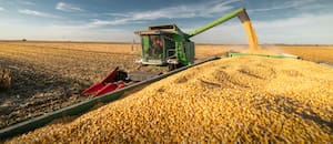 Cómo los datos empiezan a construir el balance invisible del productor