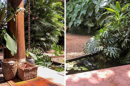 "Cuando compramos la casa contactamos al Instituto Burle Marx para que pudieran recuperar el proyecto original. Hacerlo con ellos era muy costoso, así que buscamos a un egresado del Instituto; al día de hoy se mantiene muy bien", asegura Isabela.