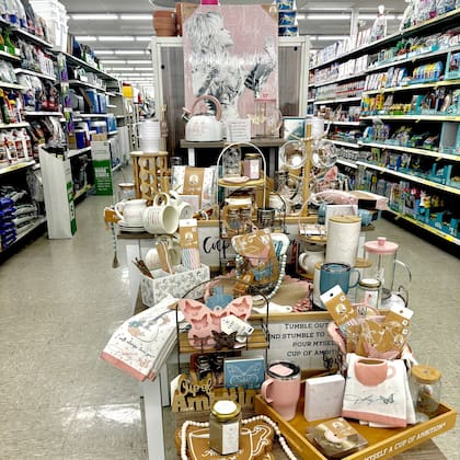 Cuando Dollar General abrió en 1955, la mayoría de los productos tenían un precio fijo de un dólar o menos