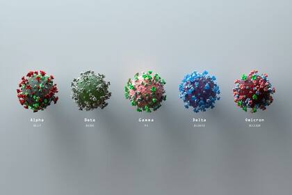 Cuando el coronavirus salta de una especie a otra, aumentan las posibilidades de que surja una nueva variante