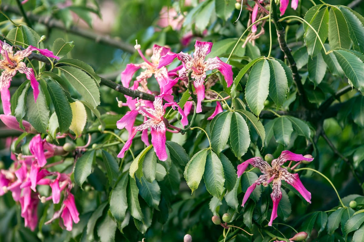Cuándo es el equinoccio de primavera
