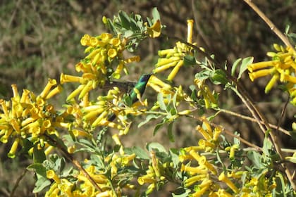 Cuándo es el equinoccio de primavera