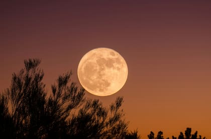 Cuándo es la Luna Llena en agosto 2026 (Unsplash/Ganapathy Kumar)