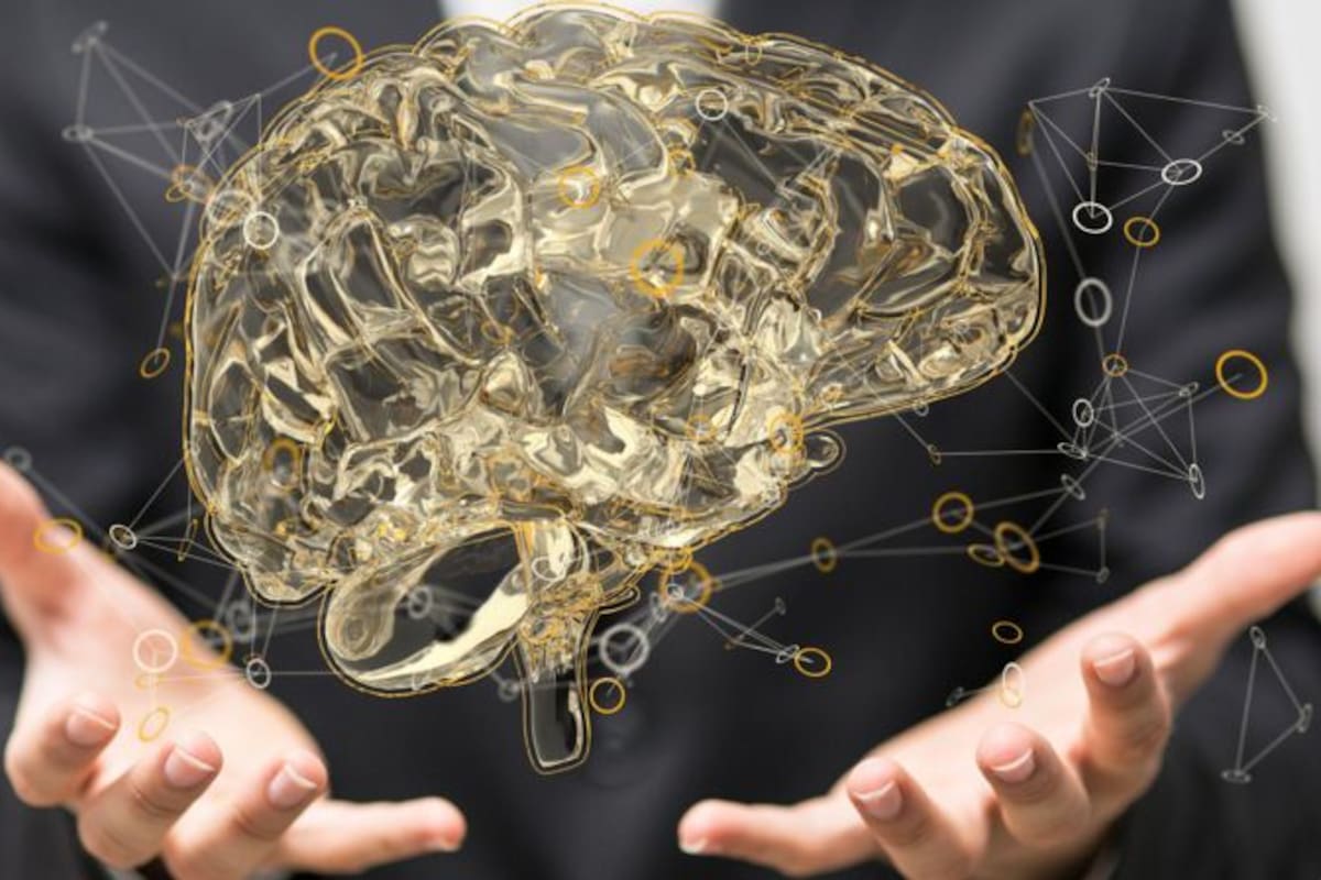 Cuando experimentamos más estrés, la amígdala crece