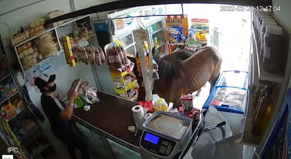 Cuando ingresó el segundo caballo, la vendedora se fue corriendo al baño