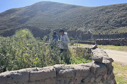 Cuando Iván no está en la escuela, colabora con su familia cosechando habas o yendo a buscar a las ovejas al cerro.