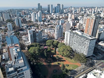 Cuando la demanda esté dirigida contra intrusos o tenedores precarios, el juez podrá ordenar la entrega inmediata del inmueble