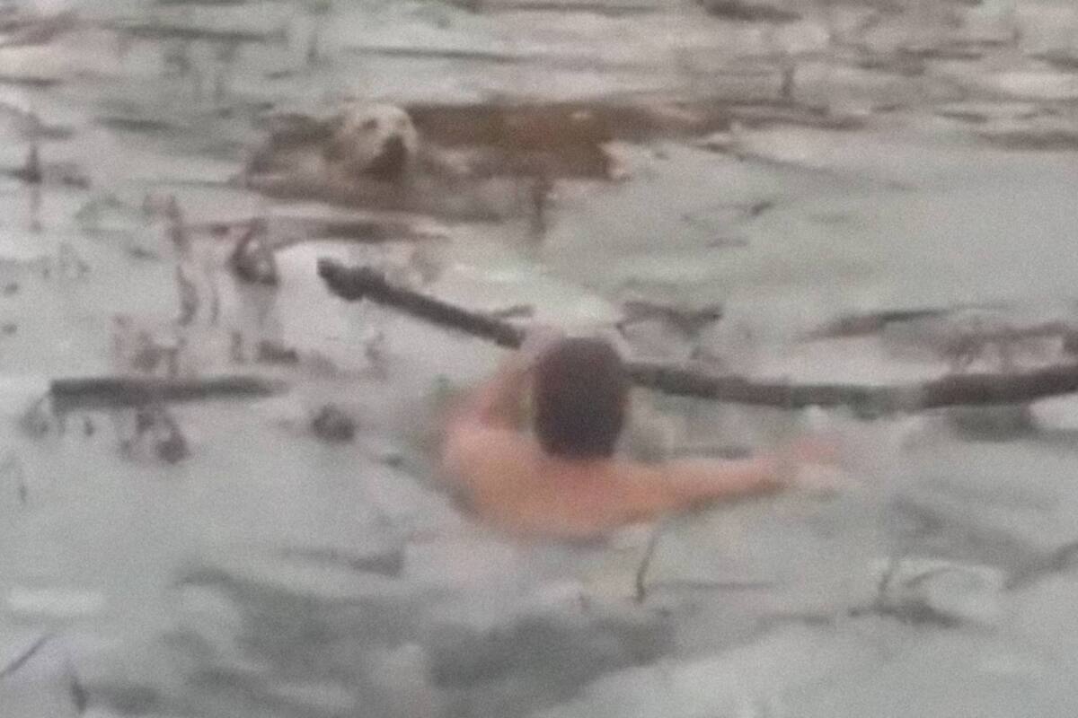 Cuando la guardia llegó, el perro ya estaba agotado por el esfuerzo