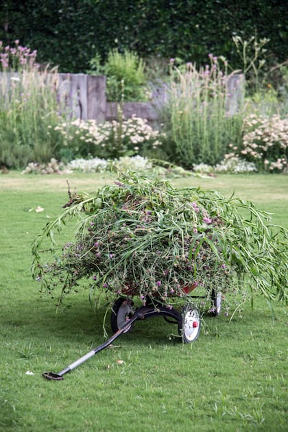 Cuando las lluvias abundantes y el sol estimulan el desarrollo de las plantas, es importante realizar las podas de mantenimiento. Esto achica el tamaño y mantiene a raya diversas especies, para mantener la armonía y la belleza generales.