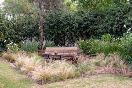 Cuando las plantas están bien adaptadas al entorno, el jardín funciona con más equilibrio y menos esfuerzo