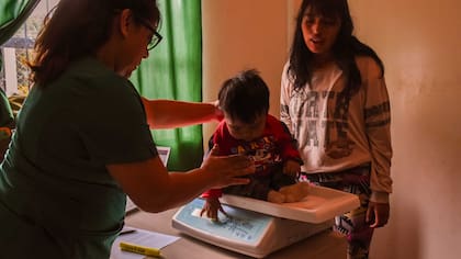"Cuando Pata Pila encuentra a un chico con desnutrición, ya estamos un poquito tarde, porque si el niño ya está con un déficit en la balanza, ya hay un proceso de su desarrollo que se frenó".