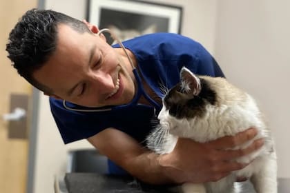 Cuándo se celebra el Día del Veterinario